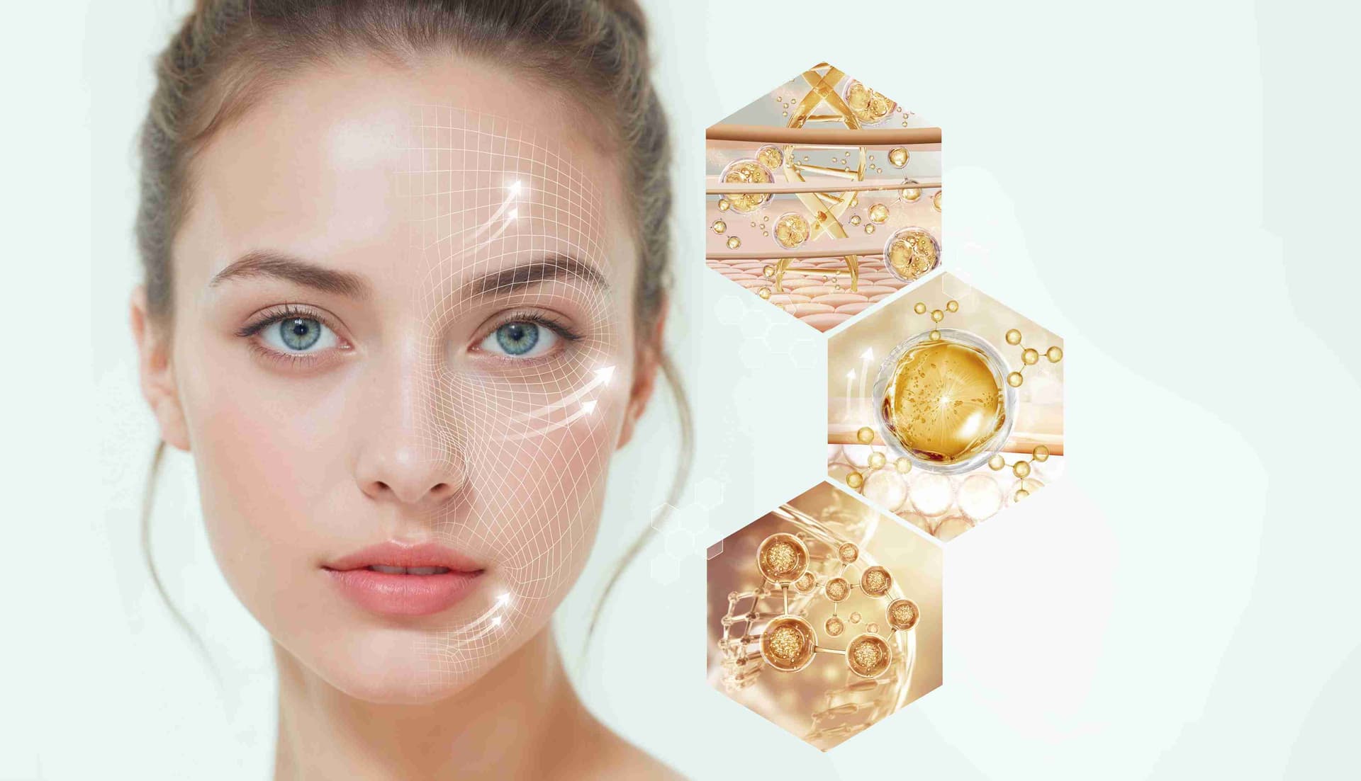Cellular Anti-Ageing